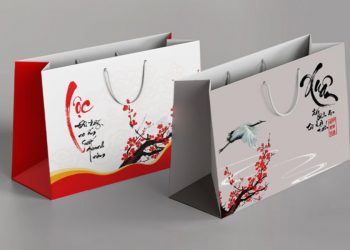 Túi giấy đựng quà với nhiều mẫu mã theo chủ đề khác nhau 