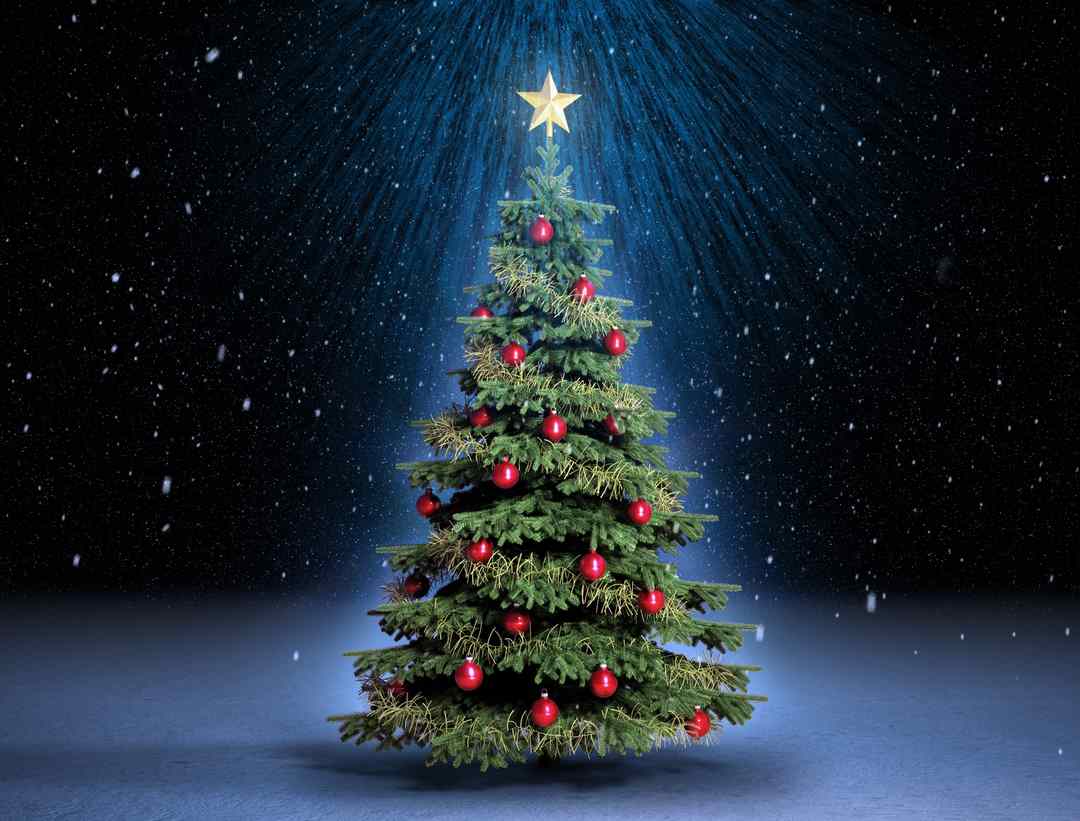 Gợi ý trang trí cây thông Noel đẹp  độc  lạ mùa giáng sinh tới gần