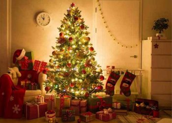 Sử dụng các đồ trang trí cây thông noel làm cây rực rỡ thêm 