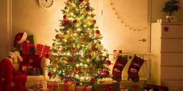 Sử dụng các đồ trang trí cây thông noel làm cây rực rỡ thêm 