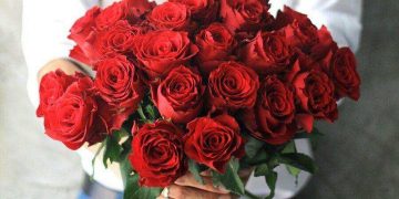 Ý Nghĩa Của Hoa Hồng Ngày Valentine