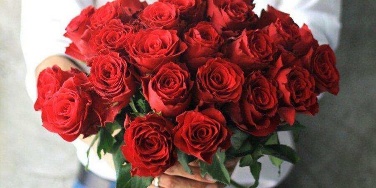 Ý Nghĩa Của Hoa Hồng Ngày Valentine