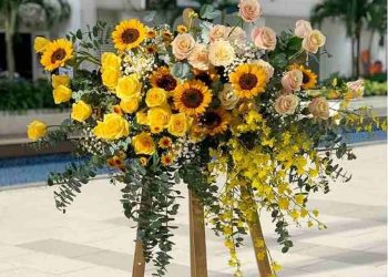 Những Ý Tưởng Tặng Quà Phù Hợp Với Mọi Dịp